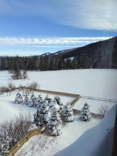 Apartament Rojka Zakopane Bagian luar foto